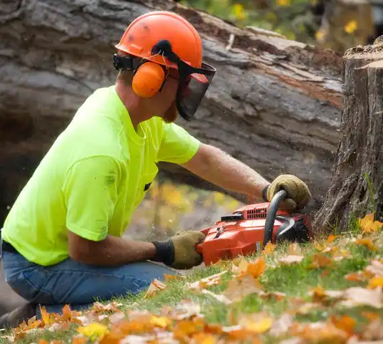 tree services Browning